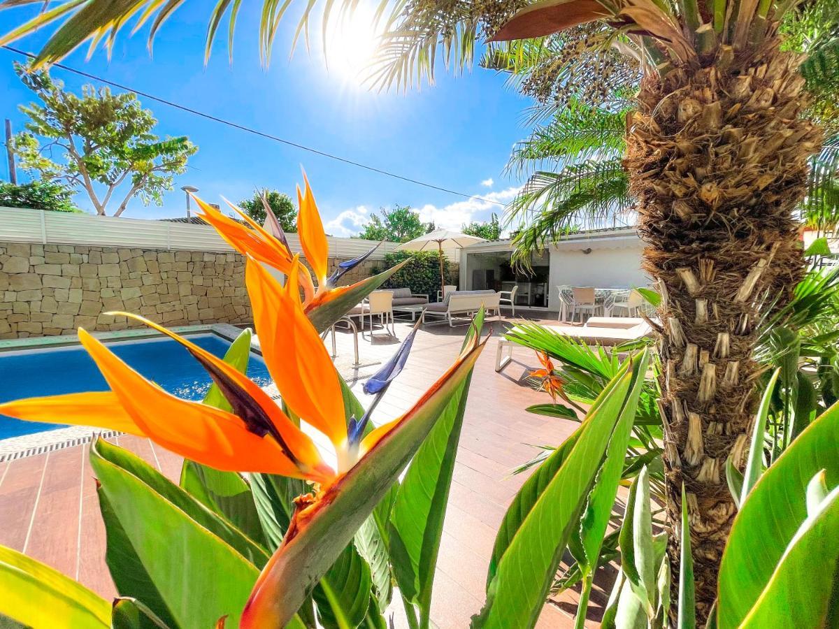 Villa Haygon Private Heated Pool, Bbq & Sauna San Vicente Raspeig Buitenkant foto